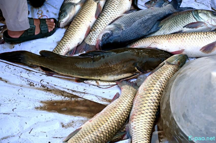 Ningol Chakkouba : Annual Fish Fair / Fish Crop Competition at Hapta Kangjeibung :: 22nd October 2025