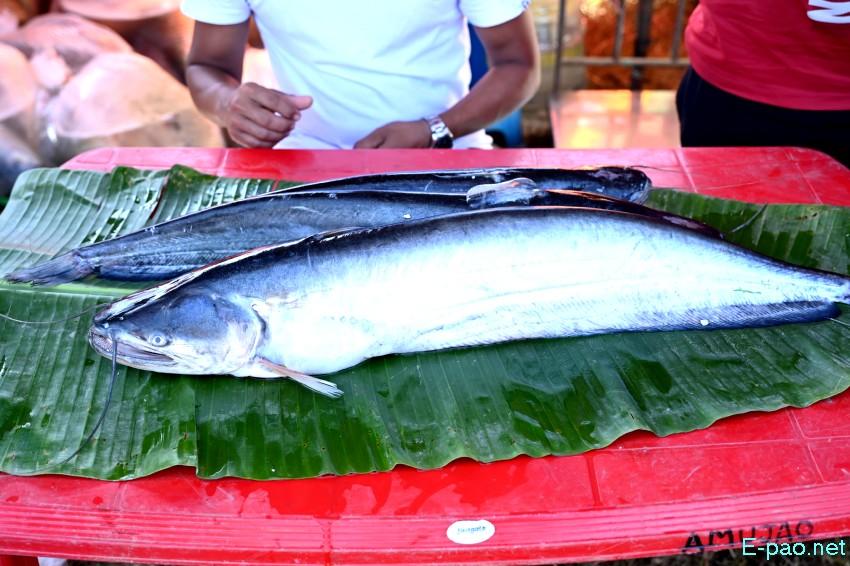 Ningol Chakkouba : Annual Fish Fair / Fish Crop Competition at Hapta Kangjeibung :: 22nd October 2025