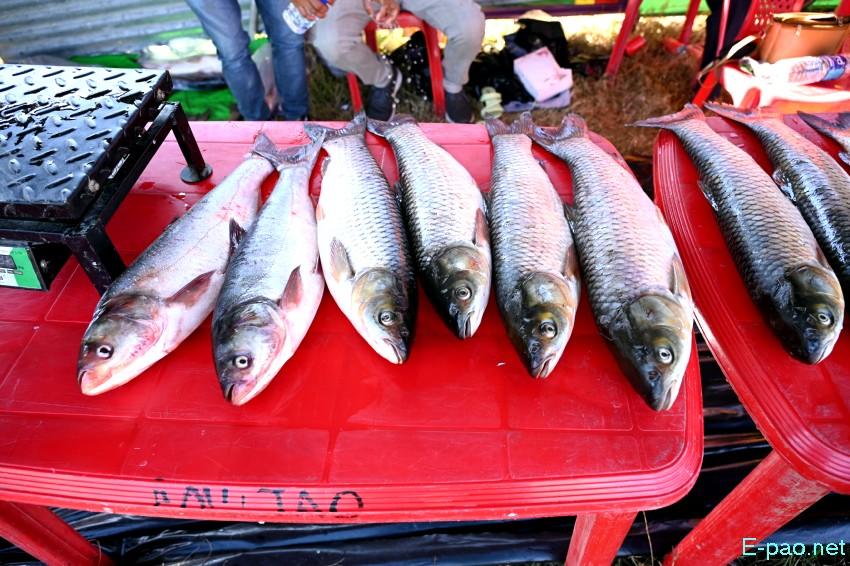 Ningol Chakkouba : Annual Fish Fair / Fish Crop Competition at Hapta Kangjeibung :: 22nd October 2025
