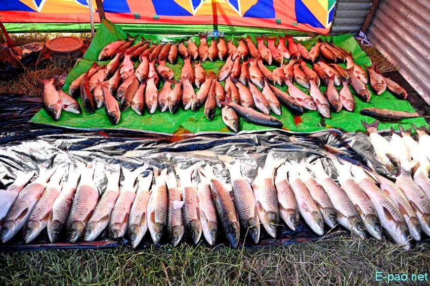 Ningol Chakkouba : Annual Fish Fair / Fish Crop Competition at Hapta Kangjeibung :: 22nd October 2025
