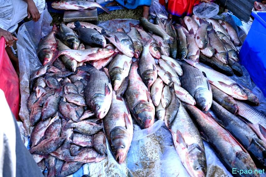 Ningol Chakkouba : Annual Fish Fair / Fish Crop Competition at Hapta Kangjeibung :: 22nd October 2025