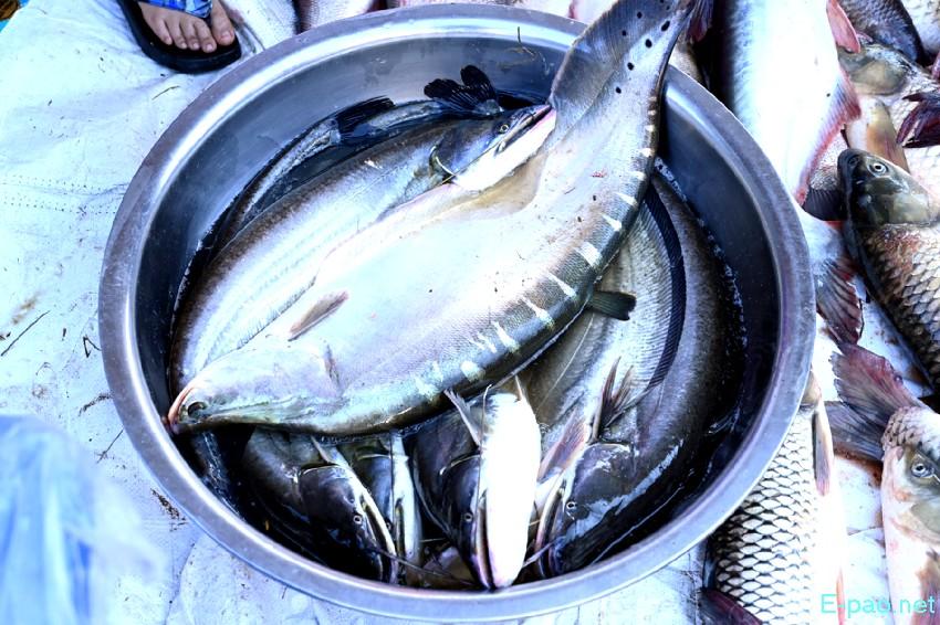Ningol Chakkouba : Annual Fish Fair / Fish Crop Competition at Hapta Kangjeibung :: 22nd October 2025