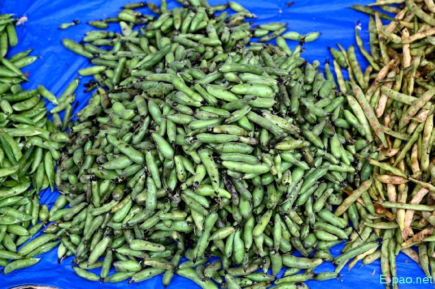 Seasonal Vegetable and Fish at Khwairamband Keithel Ima Market :: 16th September 2025