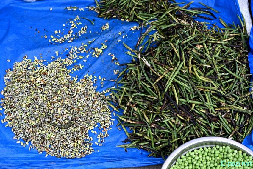 Seasonal Vegetable and Fish at Khwairamband Keithel Ima Market :: 16th September 2025
