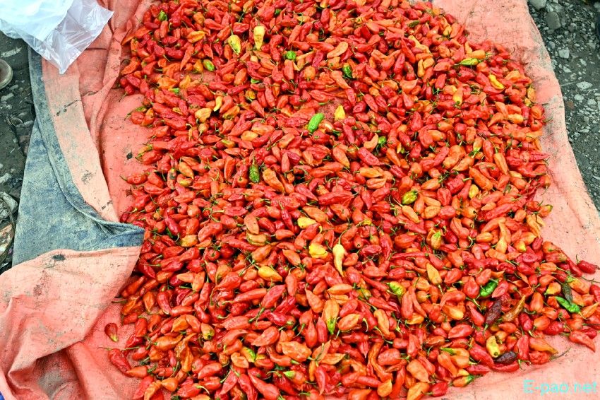 Seasonal Vegetable and Fish at Khwairamband Keithel Ima Market :: 16th September 2025