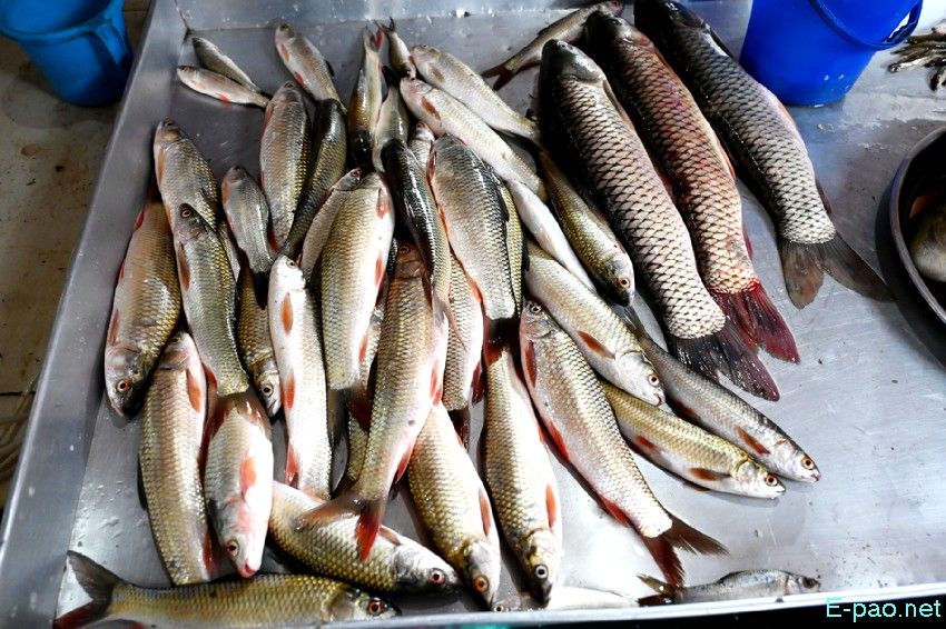Seasonal Vegetable and Fish at Khwairamband Keithel Ima Market :: 16th September 2025