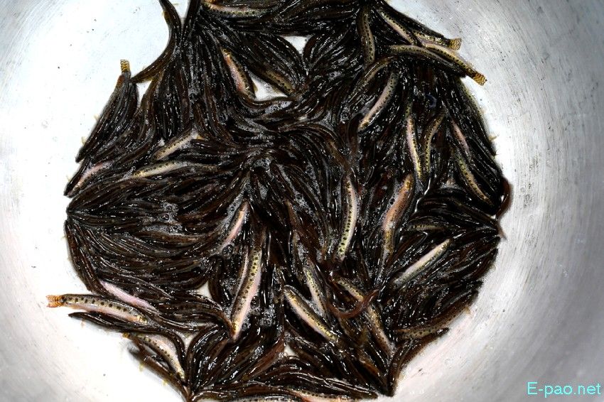 Seasonal Vegetable and Fish at Khwairamband Keithel Ima Market :: 16th September 2025
