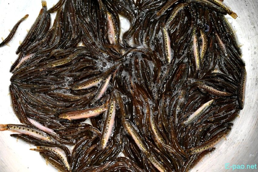 Seasonal Vegetable and Fish at Khwairamband Keithel Ima Market :: 16th September 2025