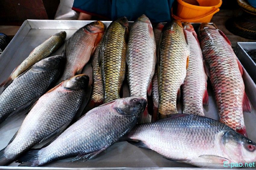 Seasonal Vegetable and Fish at Khwairamband Keithel Ima Market :: 16th September 2025