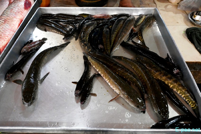 Seasonal Vegetable and Fish at Khwairamband Keithel Ima Market :: 16th September 2025