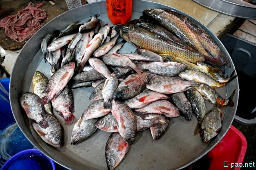 Seasonal Vegetable and Fish at Khwairamband Keithel Ima Market :: 16th September 2025