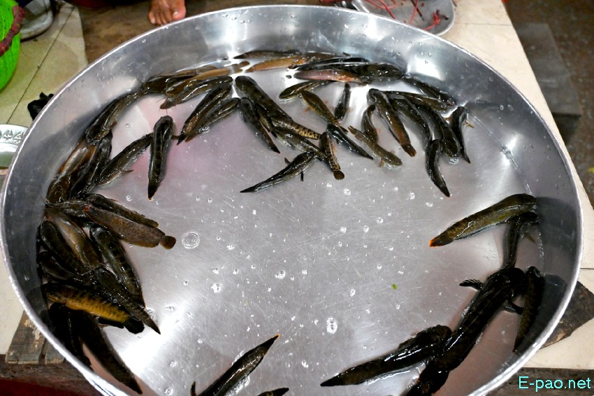 Seasonal Vegetable and Fish at Khwairamband Keithel Ima Market :: 16th September 2025