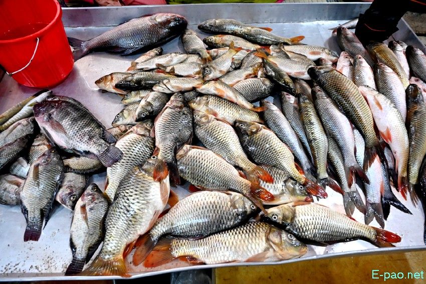 Seasonal Vegetable and Fish at Khwairamband Keithel Ima Market :: 16th September 2025