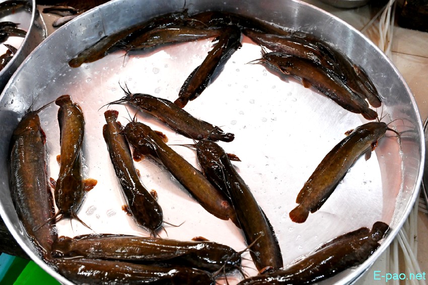Seasonal Vegetable and Fish at Khwairamband Keithel Ima Market :: 16th September 2025