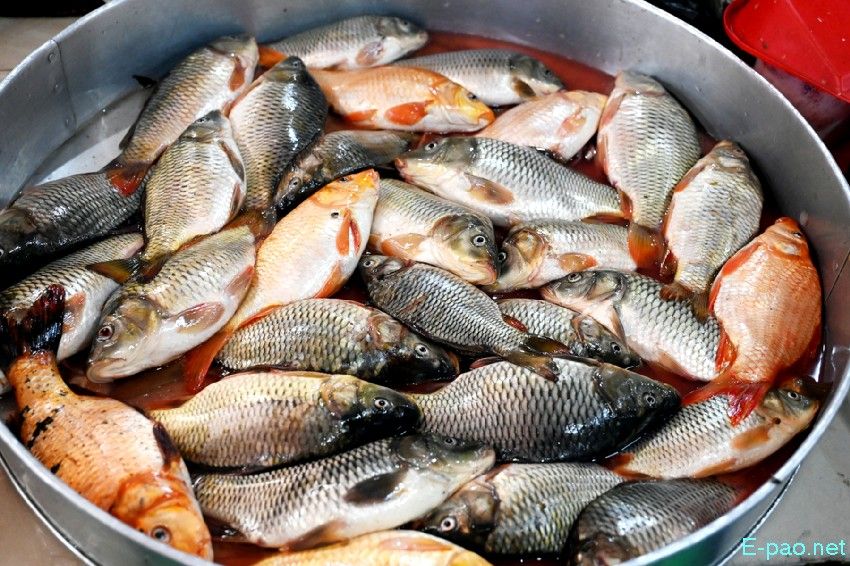 Seasonal Vegetable and Fish at Khwairamband Keithel Ima Market :: 16th September 2025