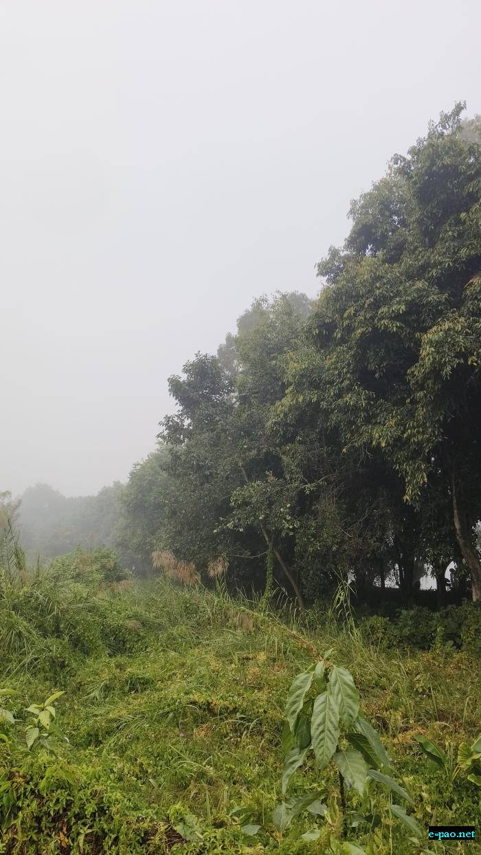 White fog : Kangla Nongpok Torban Imphal :: 10th December 2025