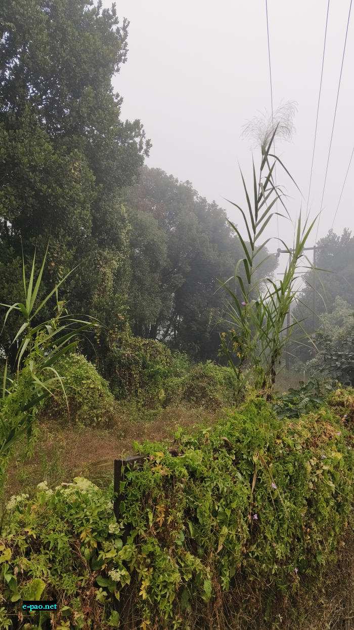 White fog : Kangla Nongpok Torban Imphal :: 10th December 2025