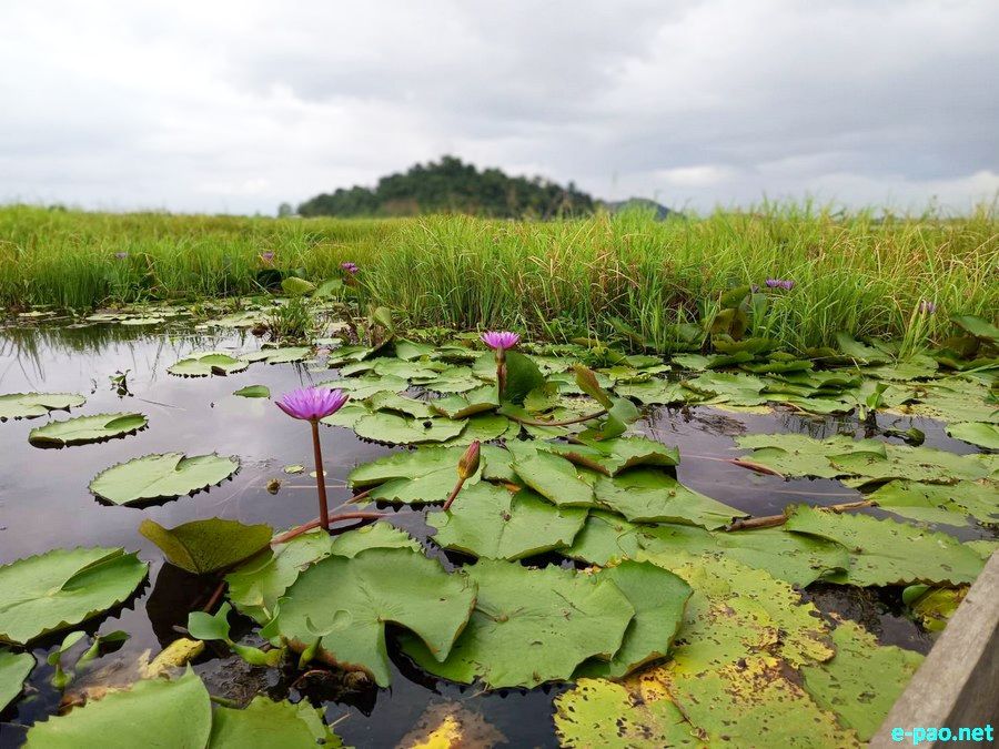 Loktak Pat (Loktak Lake) , located at Moirang in Manipur, as seen in August 2025