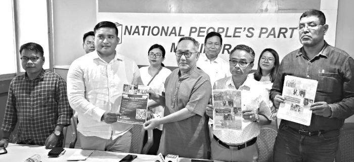 NPP launches professional internship programme