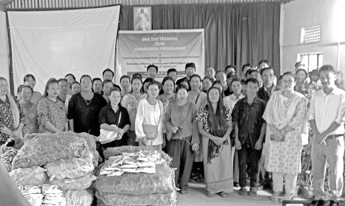 Smart farming training on exotic fruits held in Senapati