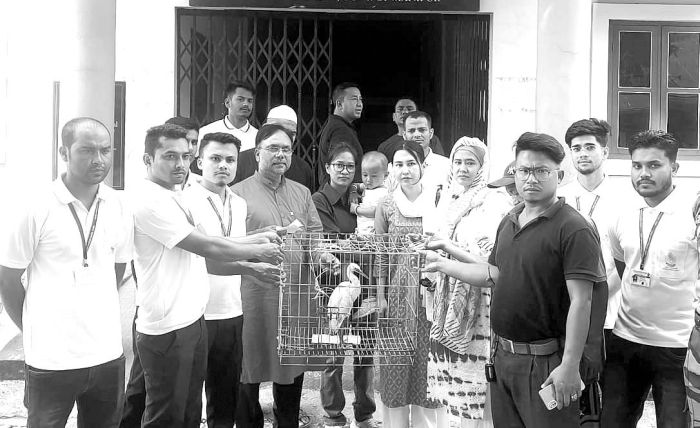 Students, teachers rescue fledgling egret