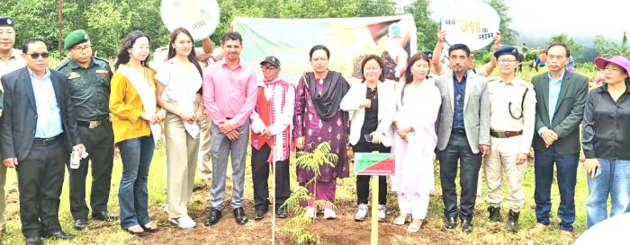 CCF calls for efficient land use to save forests