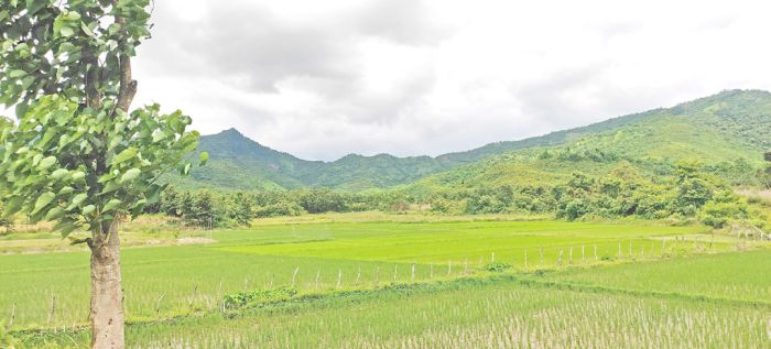 Chanung farmers flee after shots fired from hill range