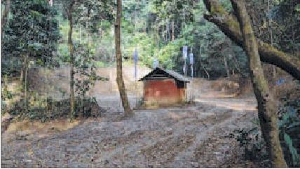 Climate change begins to impact sites