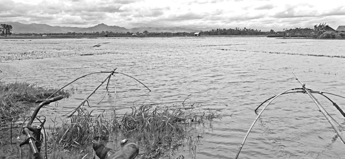 Farmers seek solution to artificial flooding