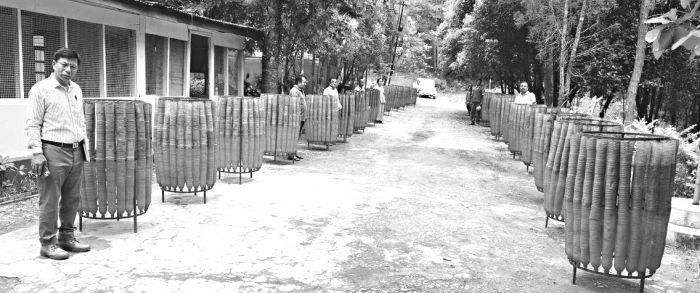 Plastic bottle tree guards protect saplings in Chandel