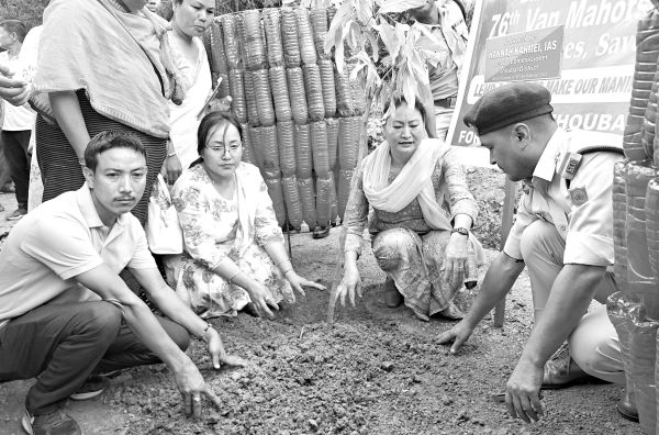 Van Mahotsav 2025 celebration continues