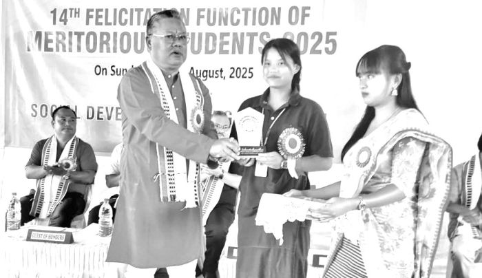 Capable youth key to good society: MLA Shyam