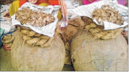 Questions raised on quality and safety of imported <i>phabou nga, ngari</i>
