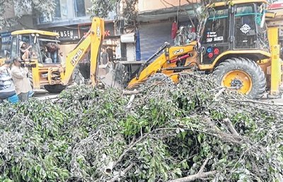 Trees felled for drainage work at Paona Keithel