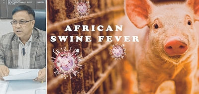 Unknown disease first reported on Nov 3, silence on ASF broken on Nov 13
