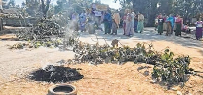 Mayai Lambi closed, again