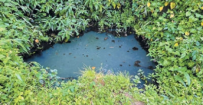 1000 water sources studied for spring ecosystems