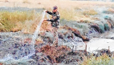 Bird traps seized