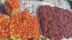 Sivathei Fest stresses need to improve road connectivity