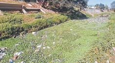 At least 13 river stretches tagged polluted