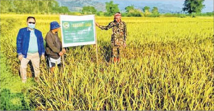 Chakhao now finds buyers outside Manipur