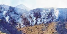 Massive wildfire engulfs Mt Dziiko