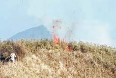 Dziiko, Mt Esii blaze continues