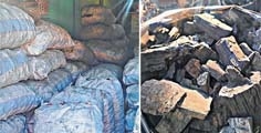 In the face of modernization, charcoal trade hangs on