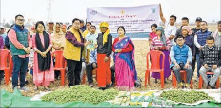 Farmers' Field Day on Rabi vegetables held at Ningthoukhong