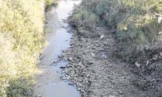 River currents dwindle to a trickle, water scarcity looms large