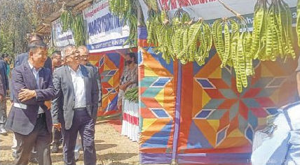 Yongchak Festival kicks off