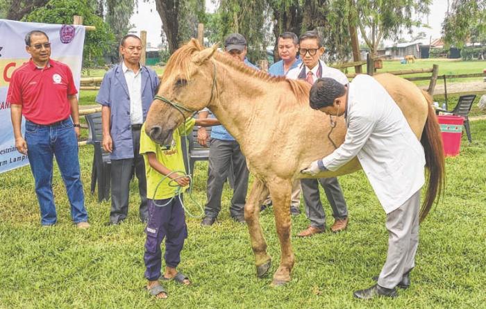 Manipuri Pony Society conducts Pony Health Camp