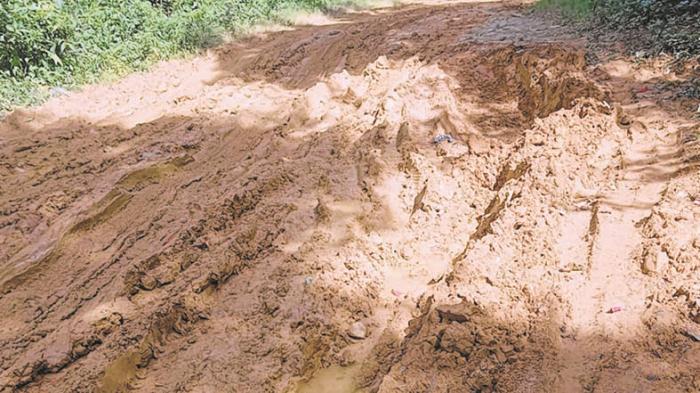 Tamei, Tharon reel under poor connectivity