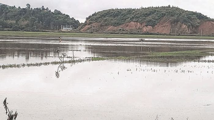 Bleak harvest stares at farmers of Yaralpat Loupham